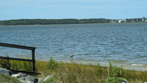 Bay Colony Indian River Bay