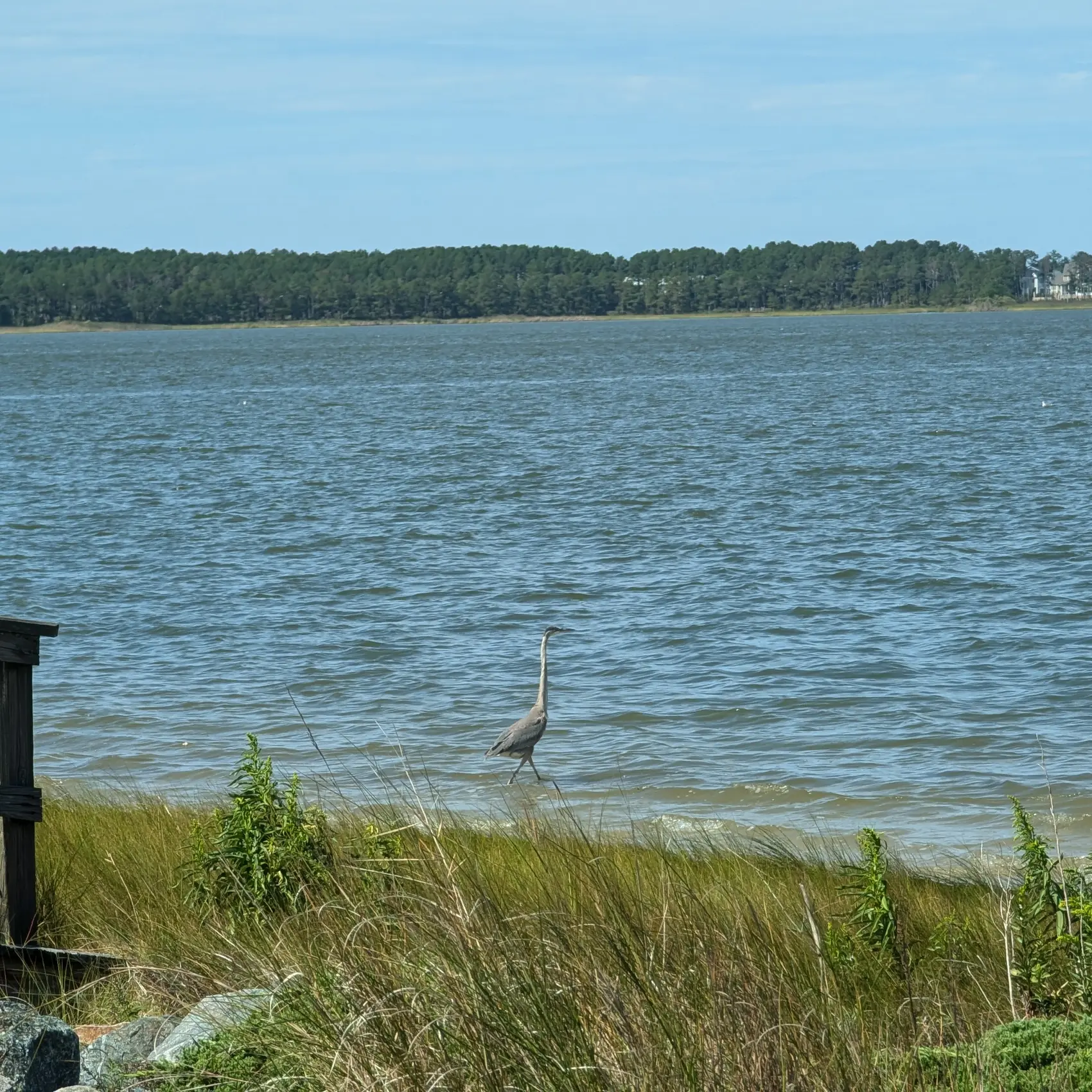 Bay Colony Indian River Bay